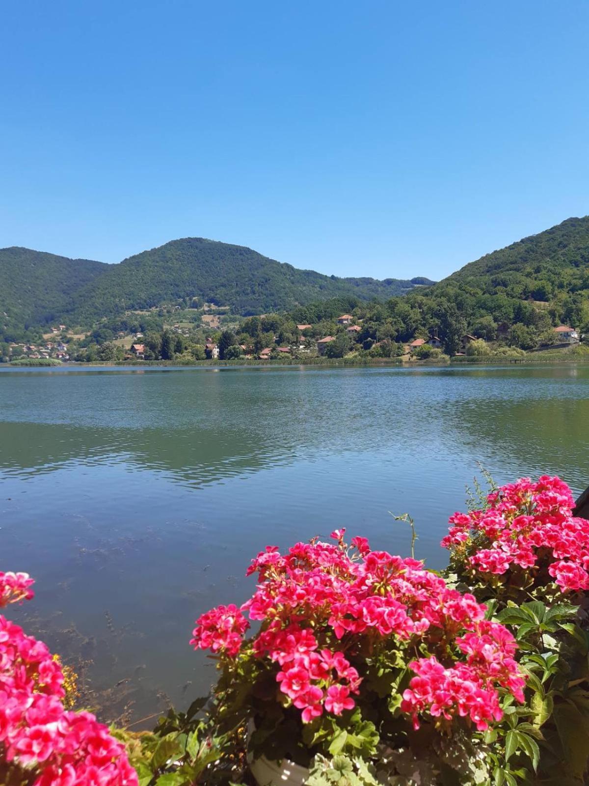 Vila Oaza - Zvornicko Jezero ズヴォルニク エクステリア 写真
